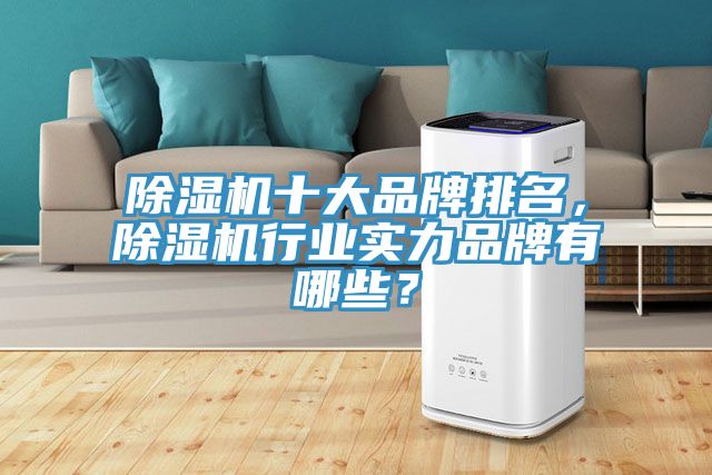 除濕機(jī)十大品牌排名，除濕機(jī)行業(yè)實(shí)力品牌有哪些？