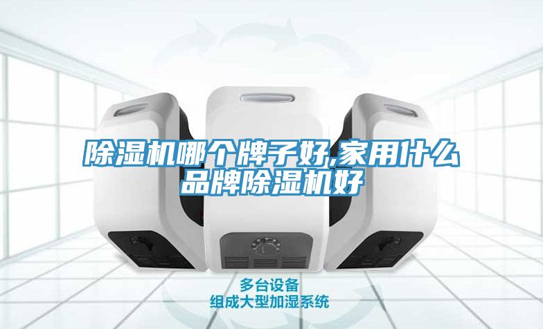 除濕機(jī)哪個牌子好,家用什么品牌除濕機(jī)好