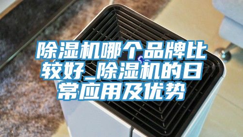 除濕機哪個品牌比較好_除濕機的日常應(yīng)用及優(yōu)勢