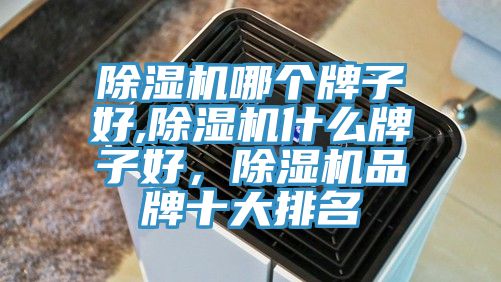 除濕機(jī)哪個牌子好,除濕機(jī)什么牌子好，除濕機(jī)品牌十大排名