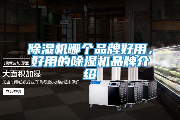 除濕機哪個品牌好用，好用的除濕機品牌介紹