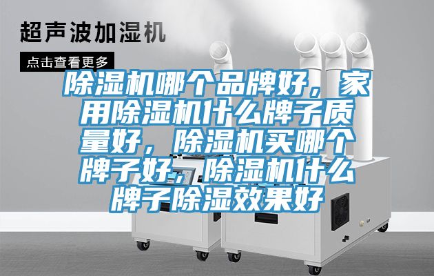 除濕機哪個品牌好，家用除濕機什么牌子質(zhì)量好，除濕機買哪個牌子好，除濕機什么牌子除濕效果好