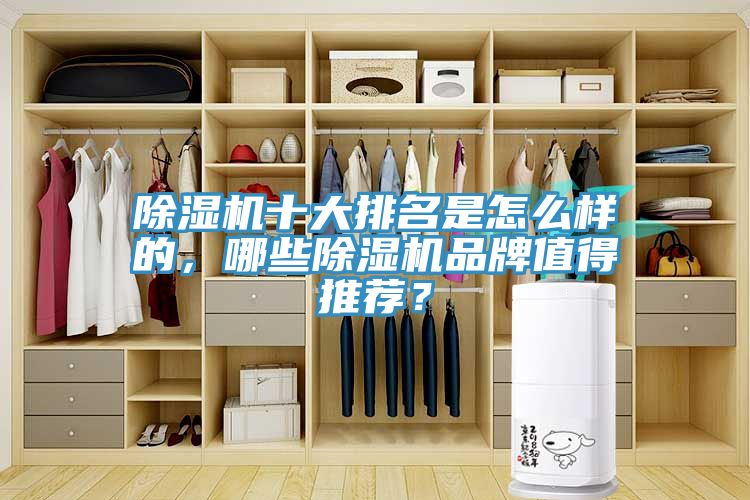 除濕機十大排名是怎么樣的，哪些除濕機品牌值得推薦？