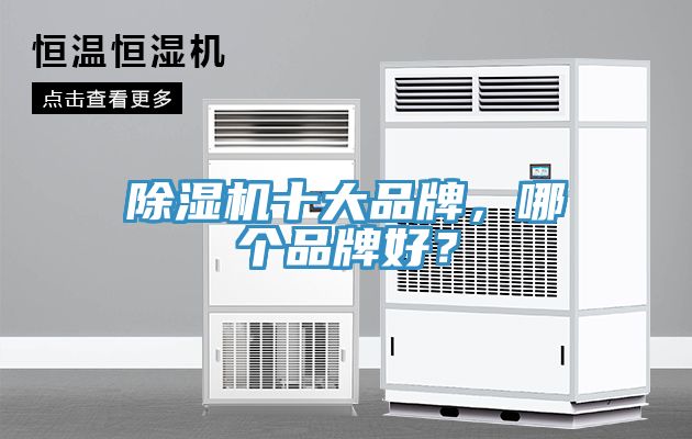 除濕機十大品牌，哪個品牌好？