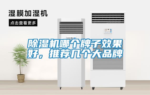除濕機哪個牌子效果好，推薦幾個大品牌