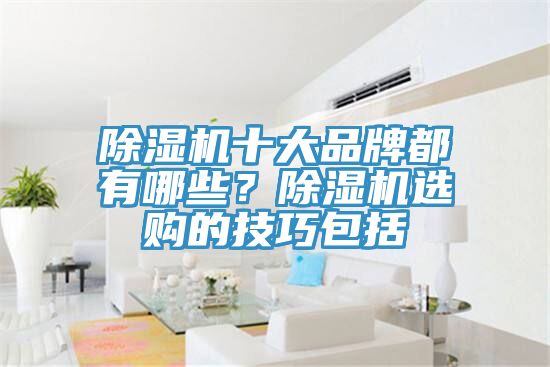 除濕機十大品牌都有哪些？除濕機選購的技巧包括