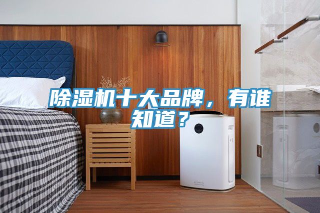 除濕機十大品牌，有誰知道？