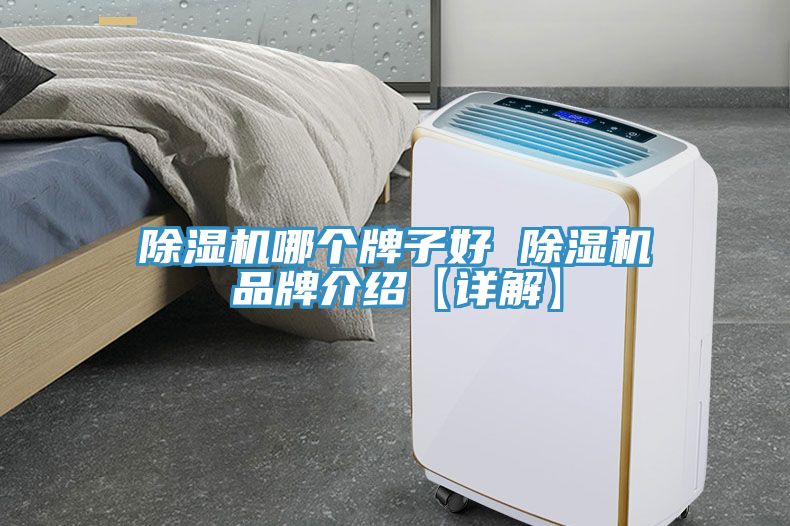除濕機(jī)哪個牌子好 除濕機(jī)品牌介紹【詳解】