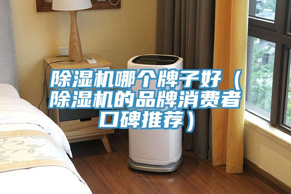 除濕機(jī)哪個(gè)牌子好（除濕機(jī)的品牌消費(fèi)者口碑推薦）