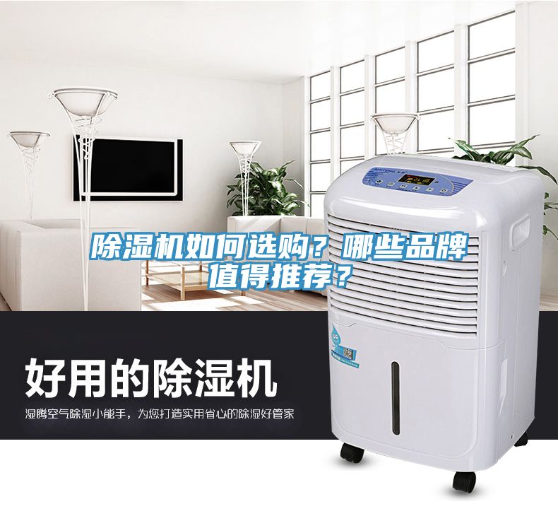 除濕機(jī)如何選購(gòu)？哪些品牌值得推薦？