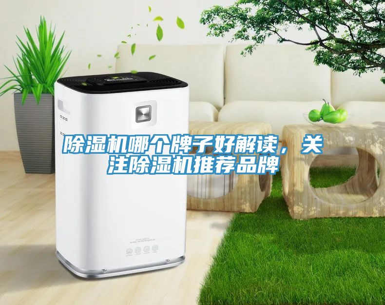 除濕機(jī)哪個(gè)牌子好解讀，關(guān)注除濕機(jī)推薦品牌
