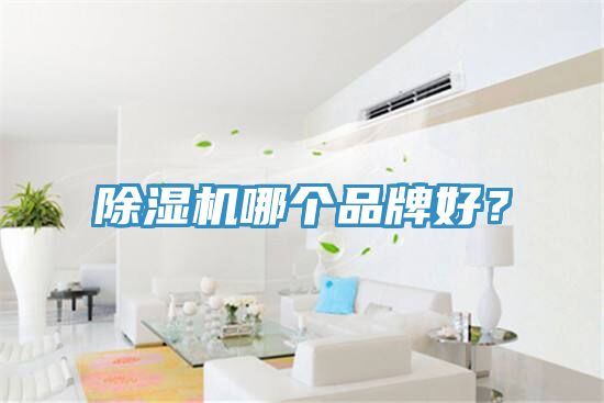 除濕機哪個品牌好？