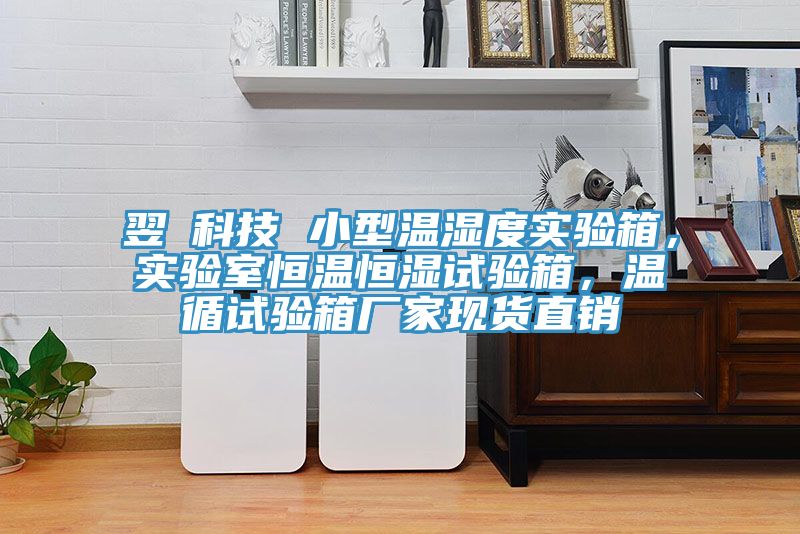 翌昇科技 小型溫濕度實驗箱，實驗室恒溫恒濕試驗箱，溫循試驗箱廠家現(xiàn)貨直銷