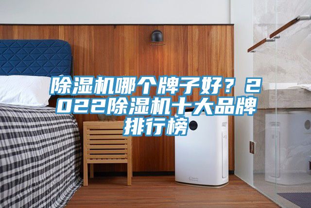 除濕機(jī)哪個(gè)牌子好？2022除濕機(jī)十大品牌排行榜