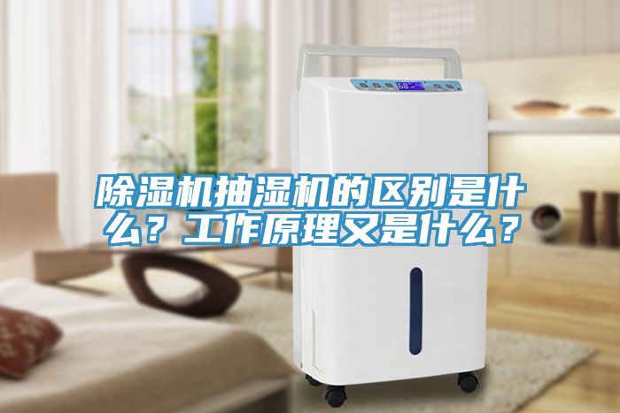 除濕機(jī)抽濕機(jī)的區(qū)別是什么？工作原理又是什么？