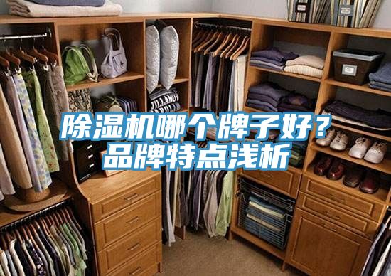 除濕機(jī)哪個(gè)牌子好？品牌特點(diǎn)淺析