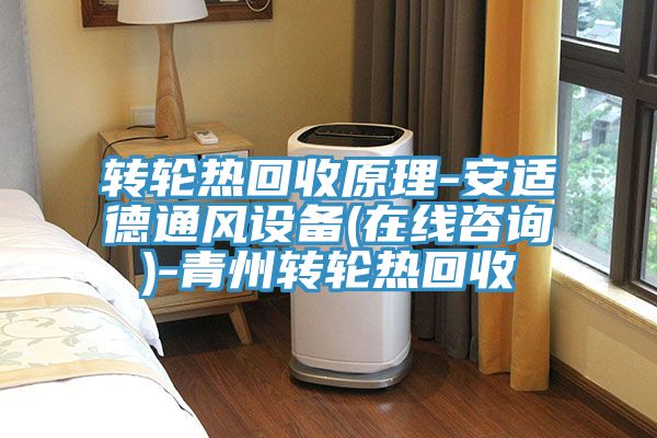 轉(zhuǎn)輪熱回收原理-安適德通風設備(在線咨詢)-青州轉(zhuǎn)輪熱回收