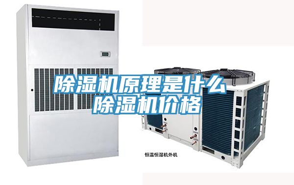 除濕機(jī)原理是什么 除濕機(jī)價格