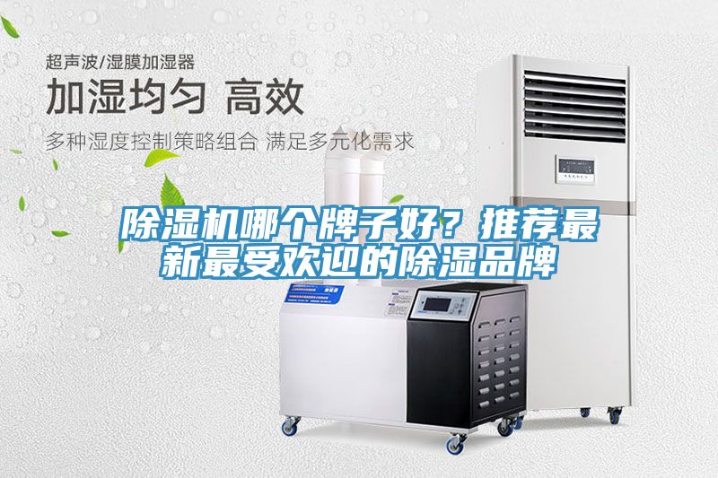 除濕機(jī)哪個(gè)牌子好？推薦最新最受歡迎的除濕品牌