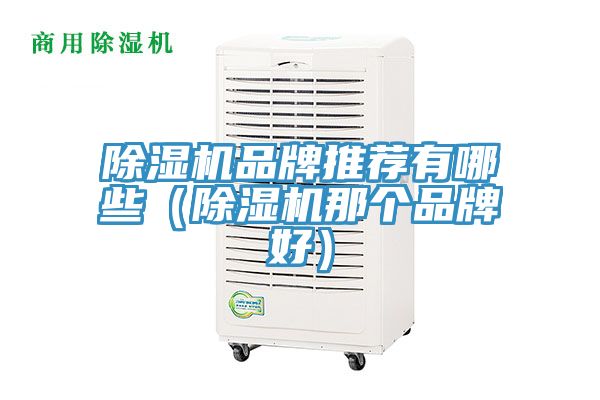 除濕機(jī)品牌推薦有哪些（除濕機(jī)那個品牌好）