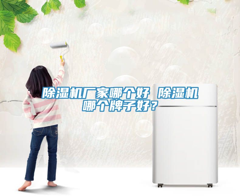 除濕機廠家哪個好 除濕機哪個牌子好？