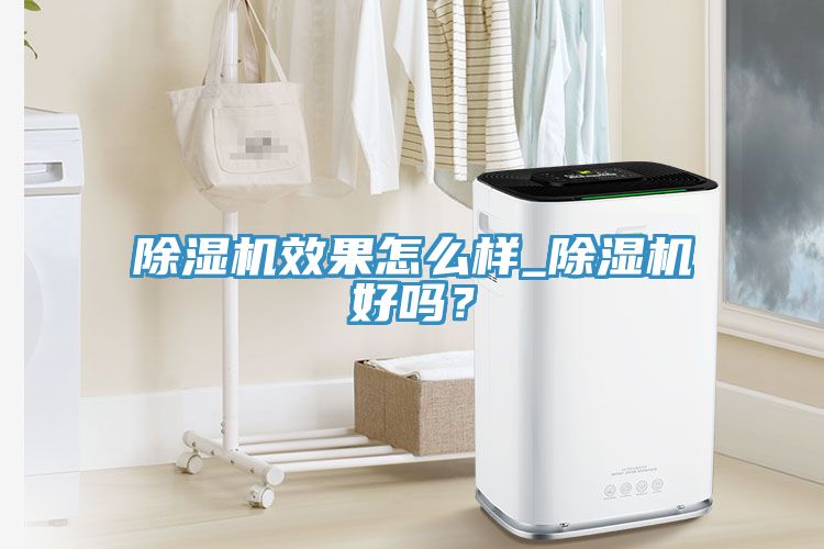 除濕機(jī)效果怎么樣_除濕機(jī)好嗎？