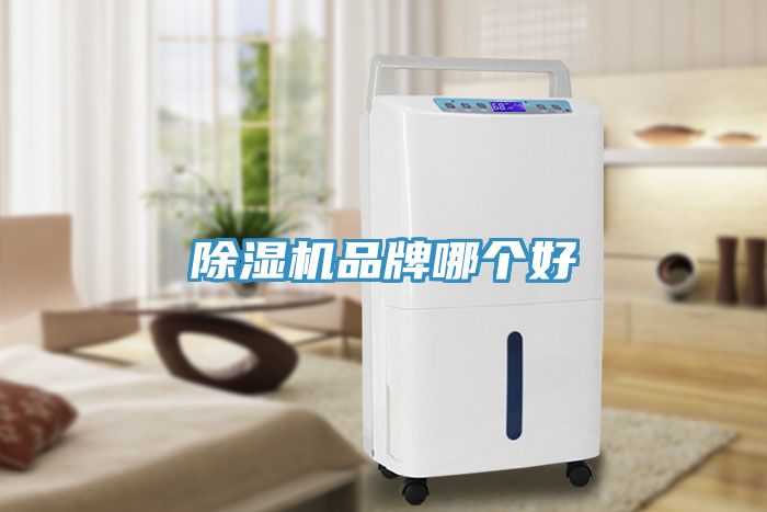 除濕機(jī)品牌哪個(gè)好