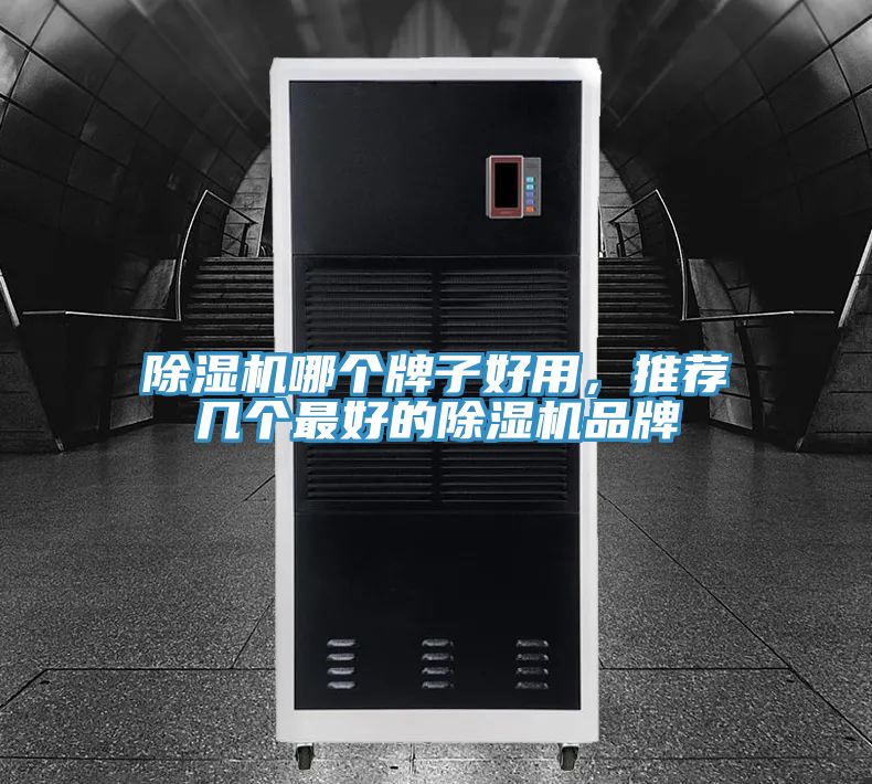 除濕機(jī)哪個(gè)牌子好用，推薦幾個(gè)最好的除濕機(jī)品牌