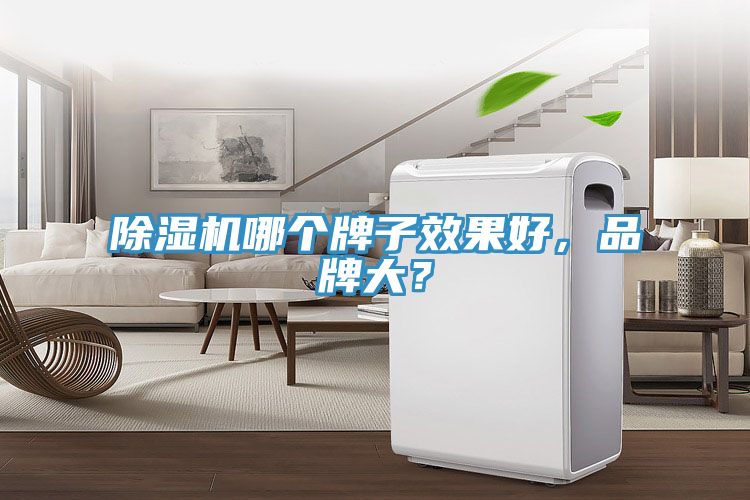 除濕機(jī)哪個牌子效果好，品牌大？
