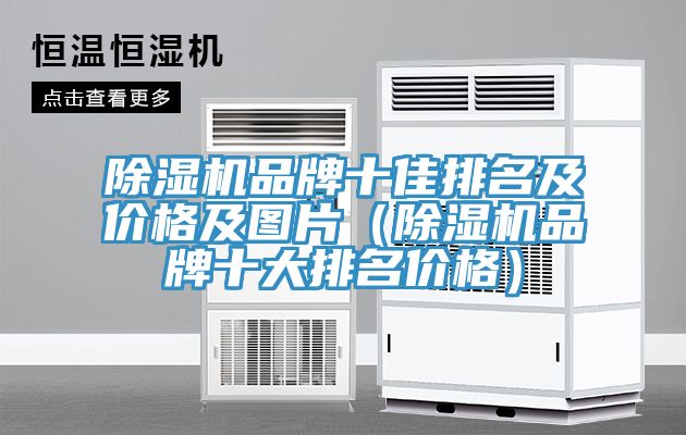 除濕機(jī)品牌十佳排名及價格及圖片（除濕機(jī)品牌十大排名價格）