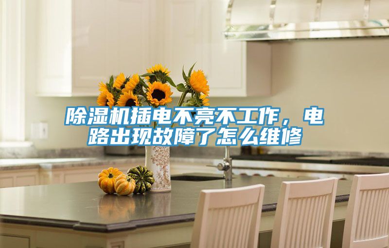 除濕機插電不亮不工作，電路出現(xiàn)故障了怎么維修