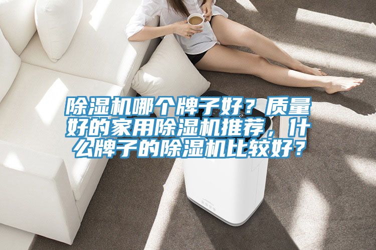 除濕機(jī)哪個(gè)牌子好？質(zhì)量好的家用除濕機(jī)推薦，什么牌子的除濕機(jī)比較好？
