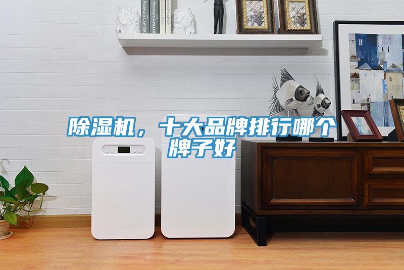 除濕機(jī)，十大品牌排行哪個(gè)牌子好