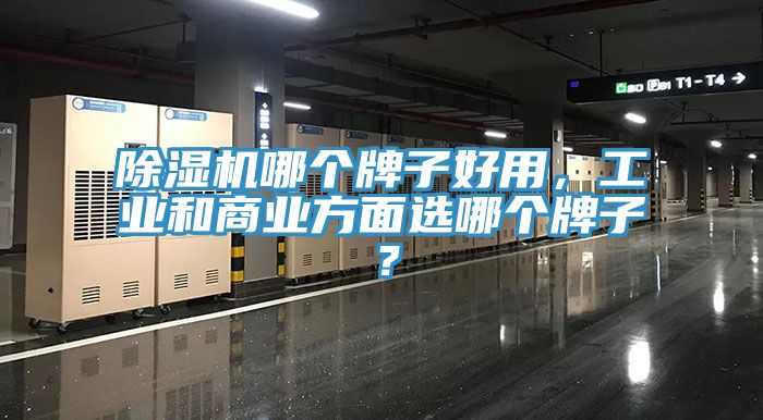 除濕機哪個牌子好用，工業(yè)和商業(yè)方面選哪個牌子？