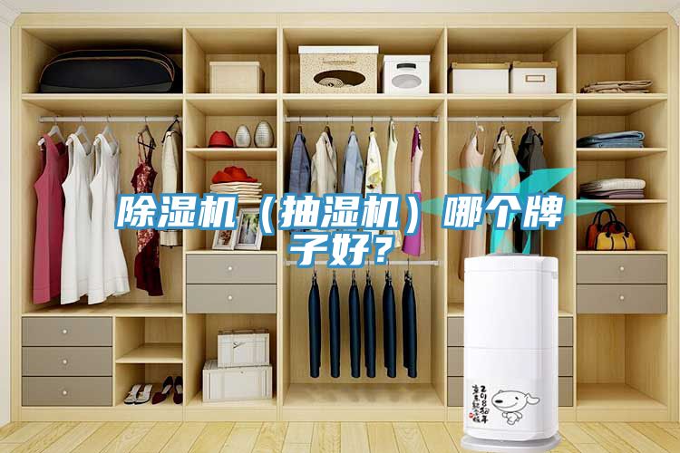 除濕機(jī)（抽濕機(jī)）哪個(gè)牌子好？
