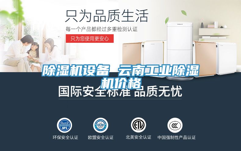 除濕機設(shè)備 云南工業(yè)除濕機價格