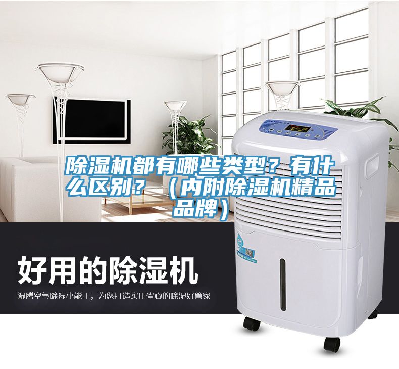 除濕機都有哪些類型？有什么區(qū)別？（內(nèi)附除濕機精品品牌）