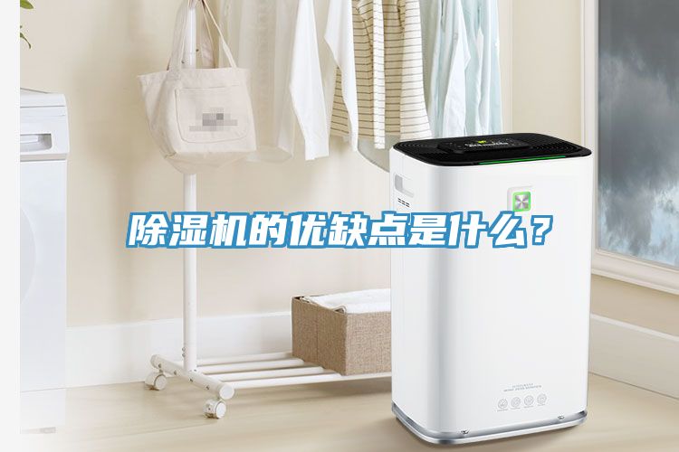 除濕機(jī)的優(yōu)缺點(diǎn)是什么？