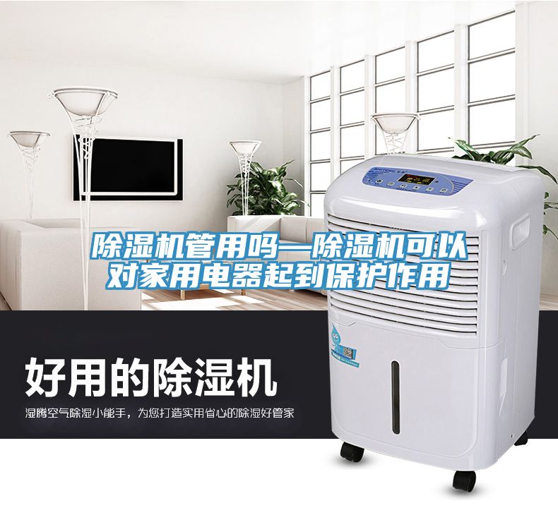 除濕機(jī)管用嗎—除濕機(jī)可以對(duì)家用電器起到保護(hù)作用