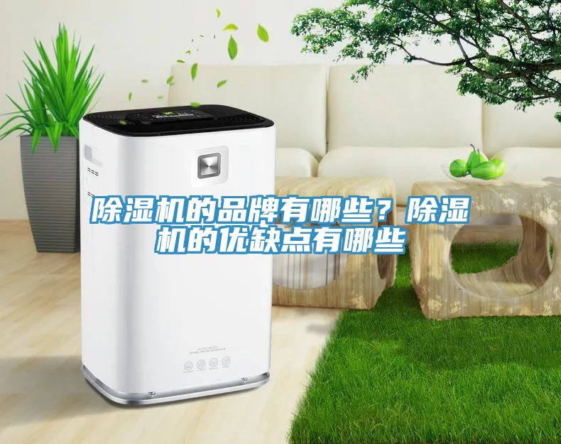 除濕機的品牌有哪些？除濕機的優(yōu)缺點有哪些