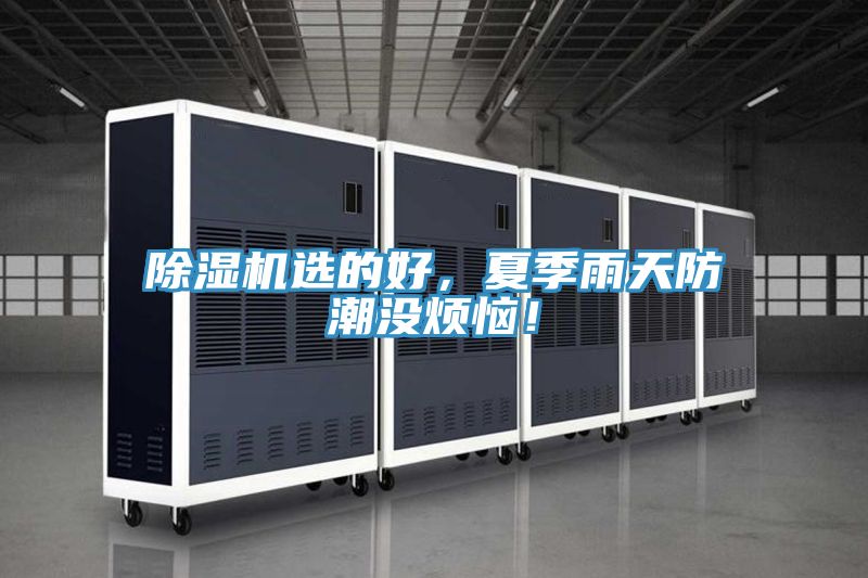 除濕機選的好，夏季雨天防潮沒煩惱！