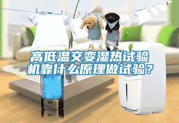 高低溫交變濕熱試驗(yàn)機(jī)靠什么原理做試驗(yàn)？