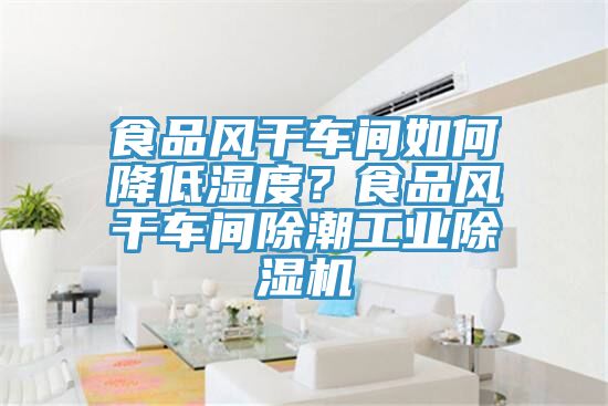 食品風(fēng)干車(chē)間如何降低濕度？食品風(fēng)干車(chē)間除潮工業(yè)除濕機(jī)