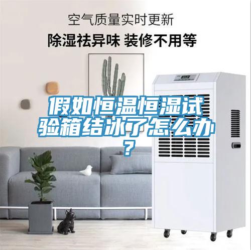 假如恒溫恒濕試驗(yàn)箱結(jié)冰了怎么辦？