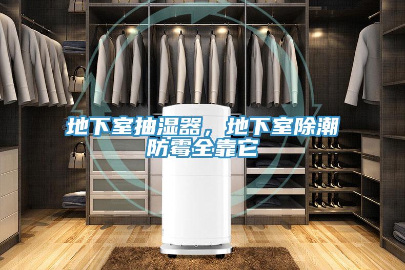 地下室抽濕器，地下室除潮防霉全靠它