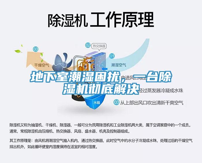 地下室潮濕困擾，一臺(tái)除濕機(jī)徹底解決