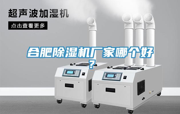 合肥除濕機(jī)廠家哪個(gè)好？
