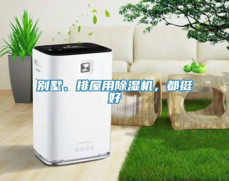 別墅、排屋用除濕機，都挺好