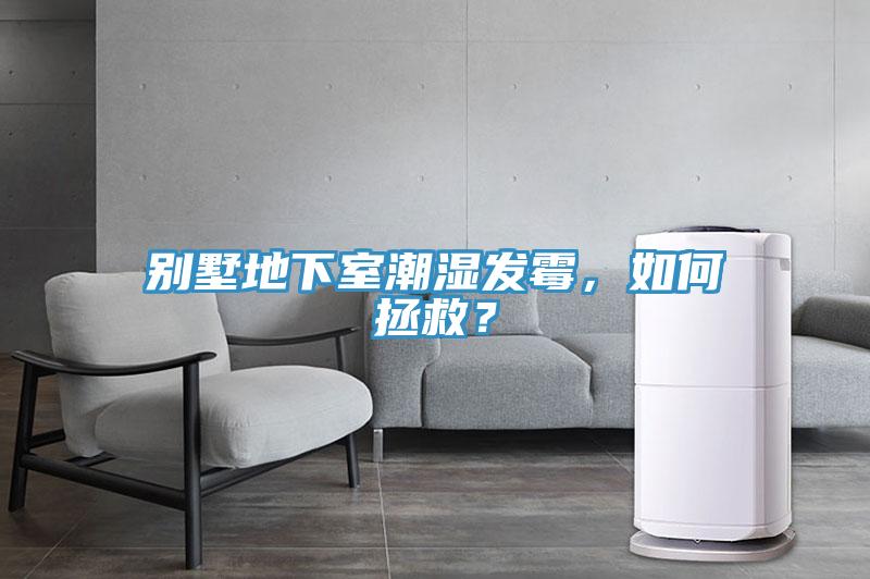 別墅地下室潮濕發(fā)霉，如何拯救？