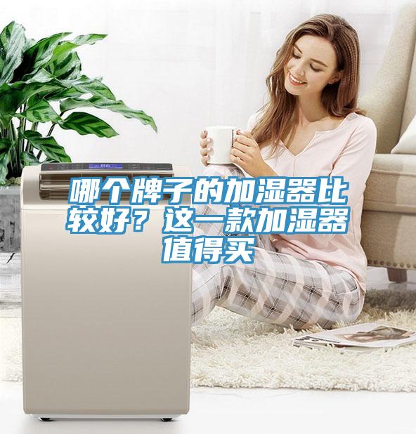 哪個牌子的加濕器比較好？這一款加濕器值得買